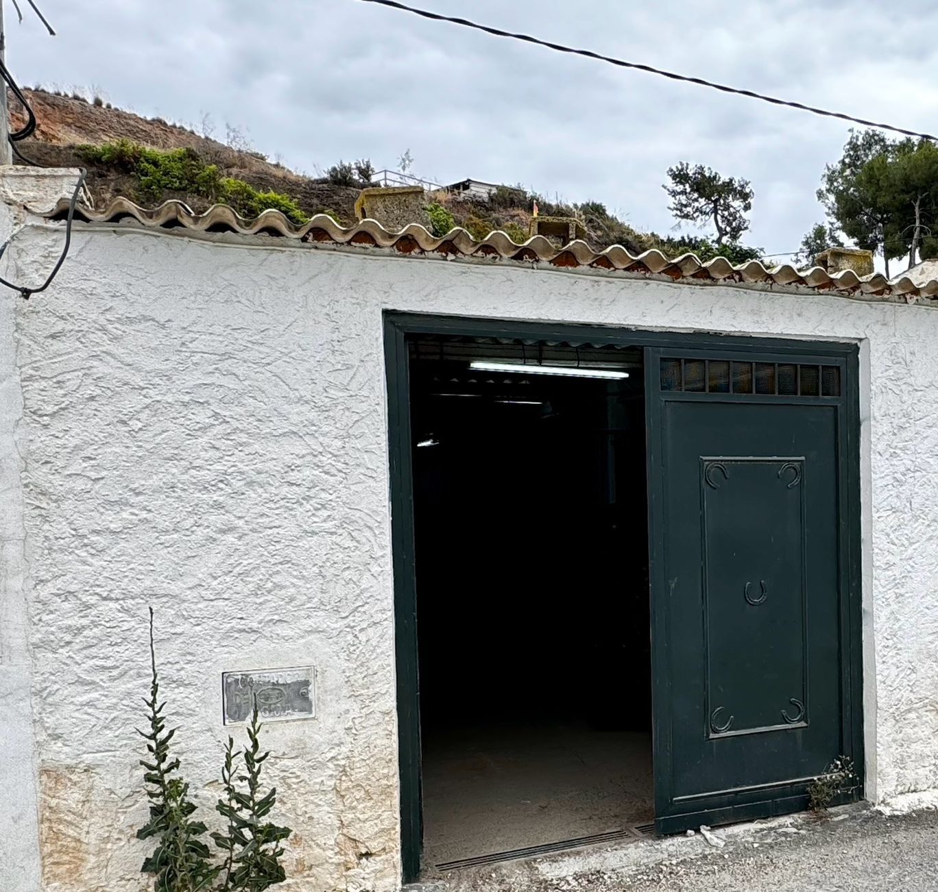 Halle zur miete in Nerja