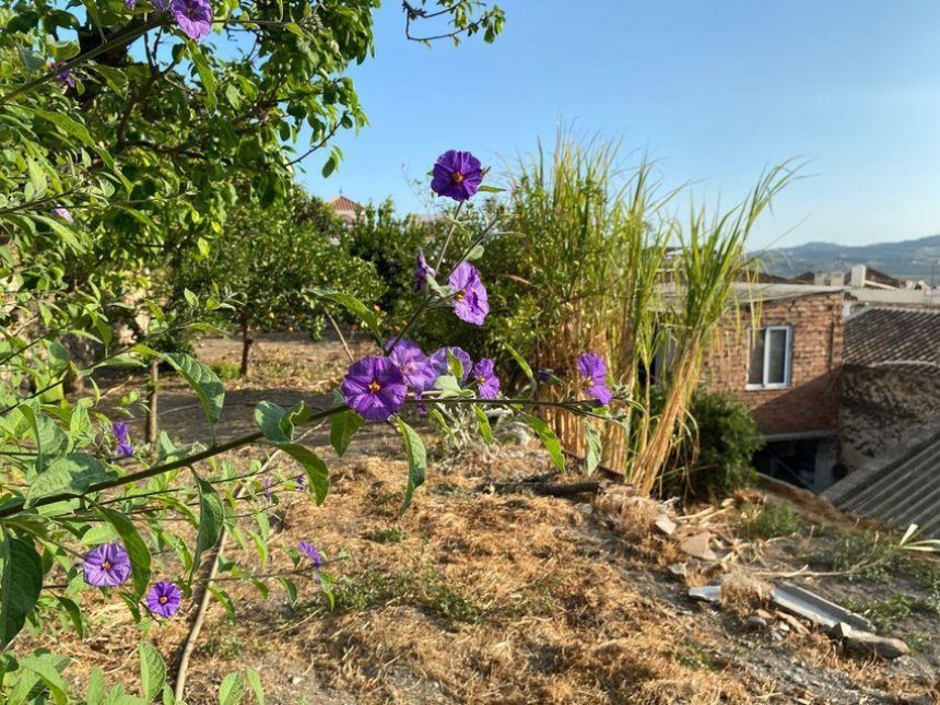 Villa en venta en Vélez-Málaga